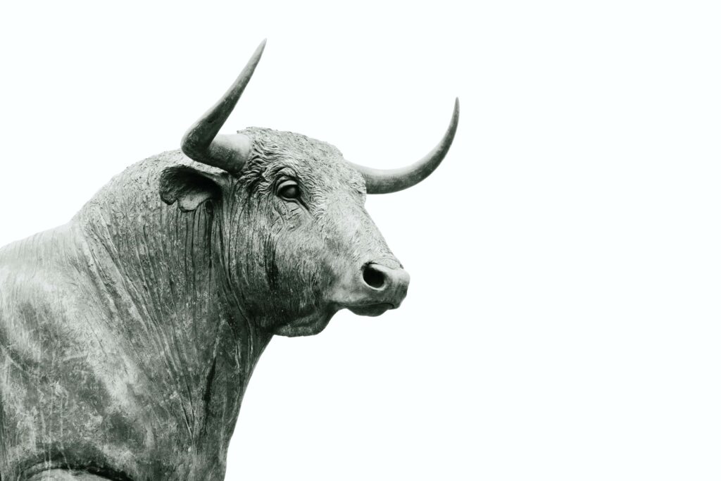 bull stock